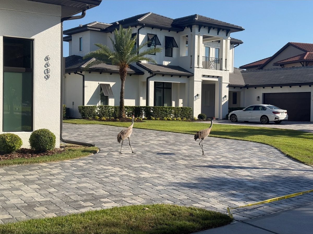 Clean paver driveway at Orlando home after ProShine Squad cleaning