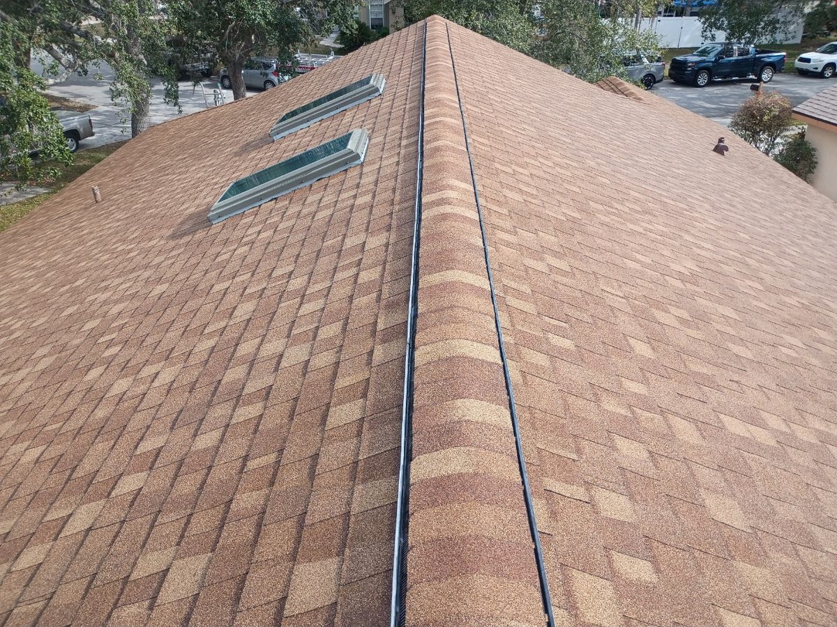 Clean shingle roof after ProShine Squad soft wash